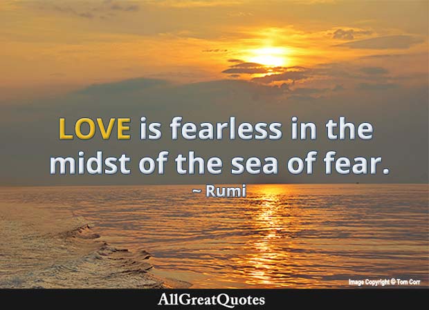 love is fearless - rumi