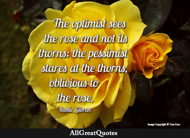 optimist sees the rose quote kahlil gibran