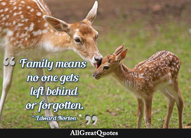 family no one gets left behind quote