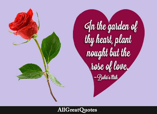 Rose Of Love Quote Bahaullah
