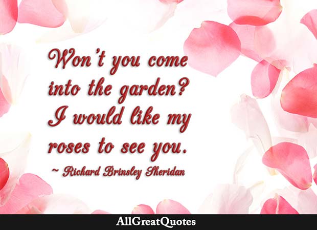 Like My Roses To See You Quote Richard Brinsley Sheridan