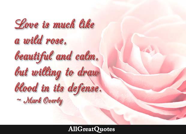 Wild Rose Quote Mark Overby
