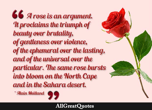 A rose is an argument. It proclaims the triumph of beauty over