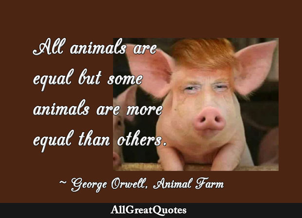 All animals are equal but some animals are more equal than others - George  Orwell