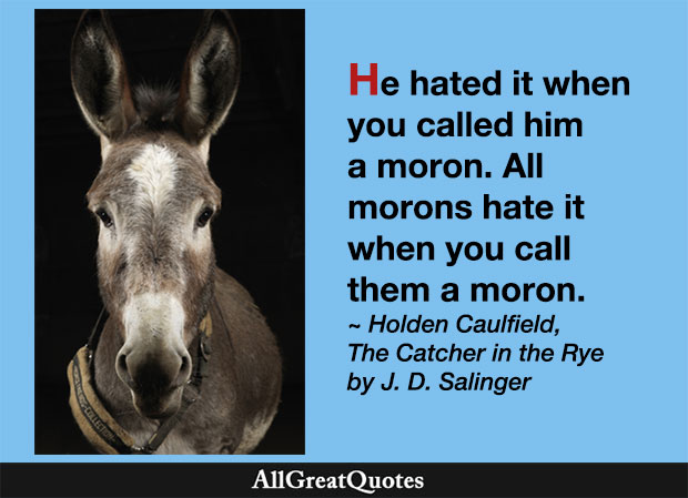 All morons hate it when you call them a moron - J. D. Salinger quote