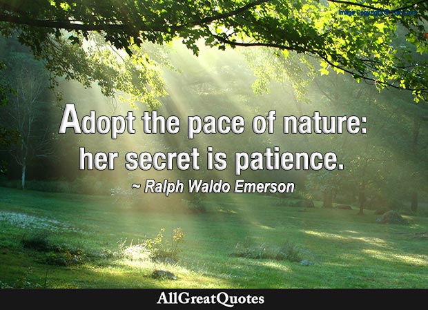 Ralph Waldo Emerson Quotes -