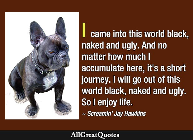 I came into this world black, naked and ugly. And no matter how much I accumulate here, it's a short journey. I will go out of this world black, naked and ugly. So I enjoy life. - Screamin' Jay Hawkins