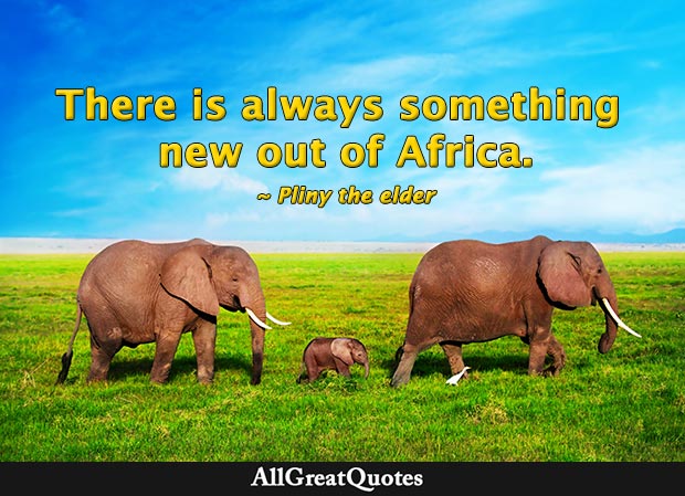 There is always something new out of Africa - Pliny the Elder