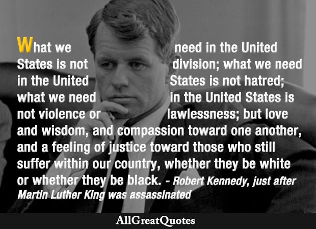 What we need in the United States is not division - Robert Kennedy