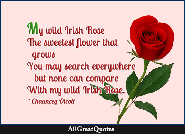 My wild Irish Rose The sweetest flower that grows You may search everywhere but none can compare With my wild Irish Rose - Chauncey Oscott