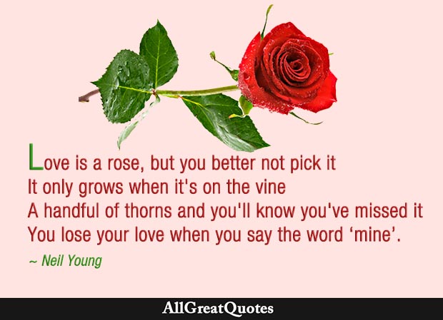 Love is a rose, but you better not pick it It only grows when it's on the vine A handful of thorns and you'll know you've missed it You lose your love when you say the word 'mine' - Neil Young