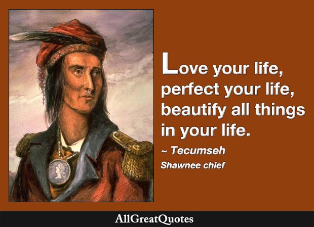 Love your life, perfect your life, beautify all things in your life. - Tecumseh